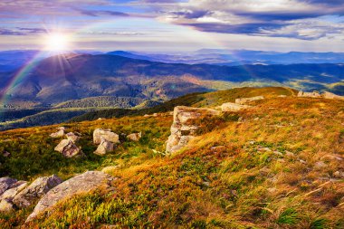 ışık orman ile taş dağ yamacında