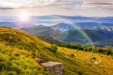 ışık orman ile taş dağ yamacında