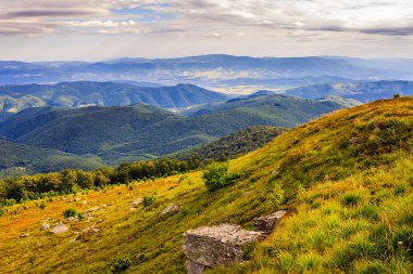 ışık orman ile taş dağ yamacında