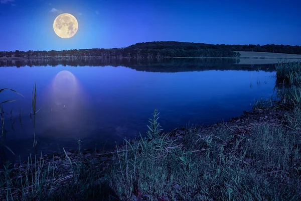 Mountain lake near forest — Stock Photo, Image