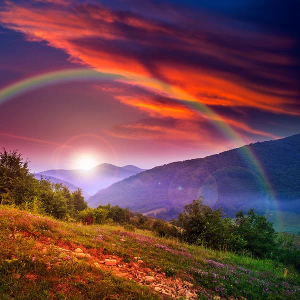 Foresta su un ripido pendio di montagna — Foto Stock