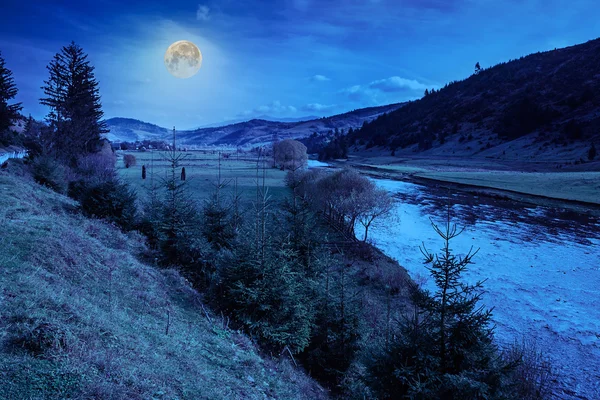 sonbahar dağ orman nehir akar tarafından kayalık sahil yakınındaki