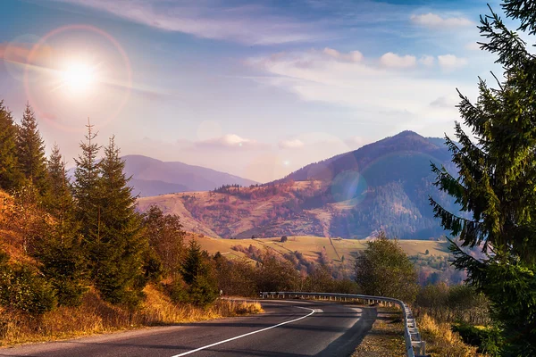 Pinos cerca del valle en las montañas y el bosque de otoño en la ladera — Foto de Stock