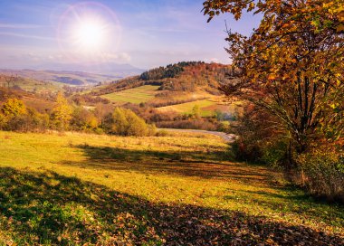Kırmızı ve sarı orman ile sonbahar hillside