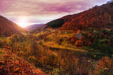 ışık demeti ile sonbahar dağ ormanda hillside düşüyor