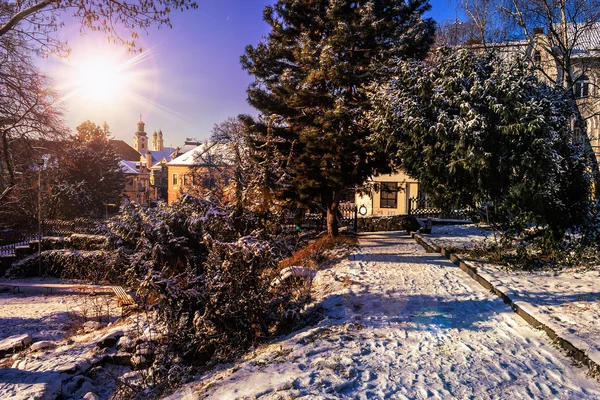 Kuppel vom verschneiten Stadtpark aus gesehen — Stockfoto