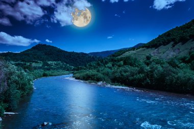 vahşi dağ nehir temiz yaz gününde