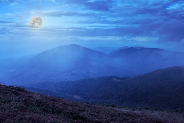 Lumière de lune sur la pente de montagne avec forêt — Photo