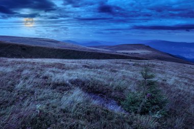 stone mountain yamaçta orman ile ek iş