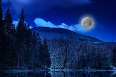 çam ormanları ve dağ yakın göl