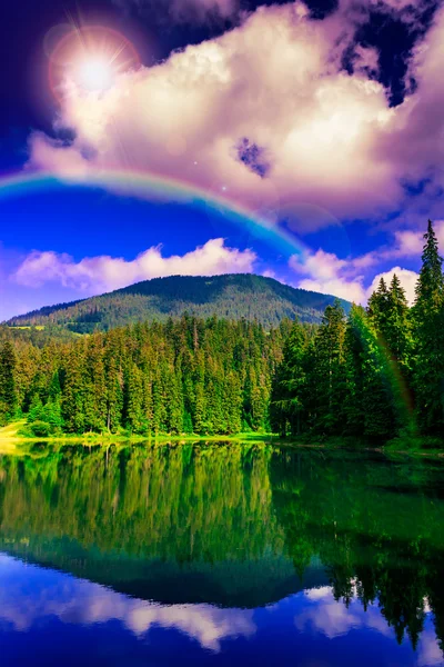 Mañana en el bosque cerca del lago en las montañas — Foto de Stock