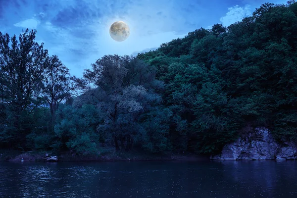 Wild mountain river on a clear summer day — Stock Photo, Image