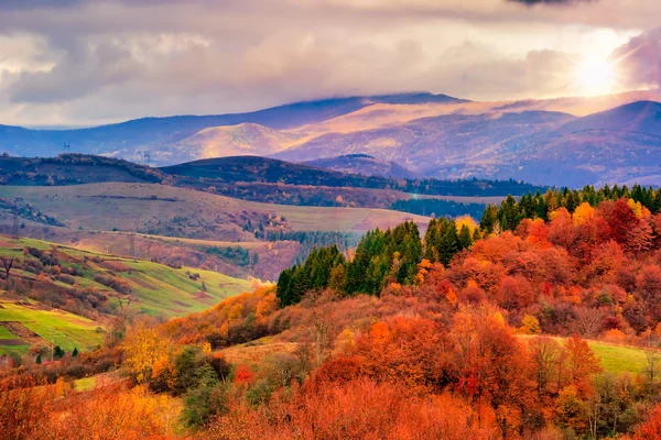 Podzimní svah s barevnými listy stromů nedaleko údolí — Stock fotografie