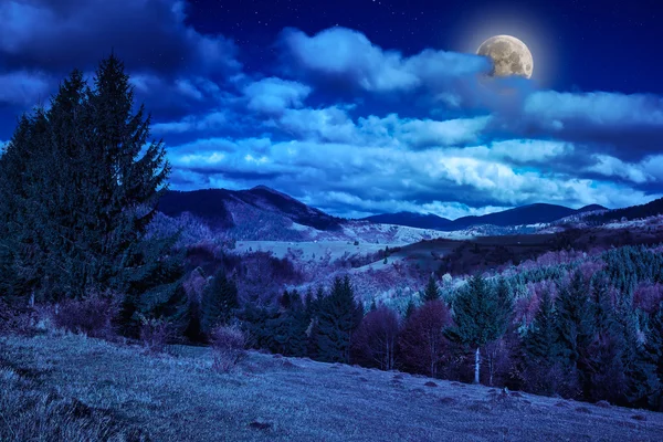 Πεύκα στη βουνοπλαγιά κάτω από το γαλάζιο του ουρανού με σύννεφα κοντά σε κοιλάδα στην — Φωτογραφία Αρχείου