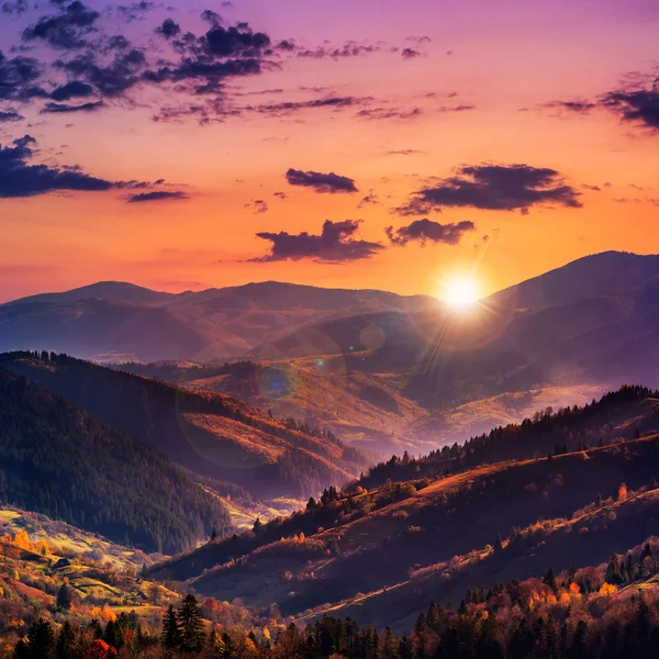 Evening autumn hillside with red and yellow forest — Stock Photo, Image