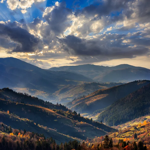 Colline d'automne avec forêt rouge et jaune — Photo