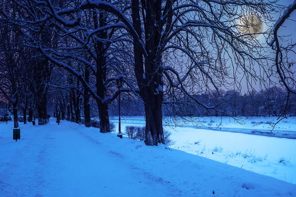 Hoarfrost bir kış gecesi — Stok fotoğraf