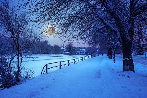 Gelée blanche par une nuit d'hiver — Photo