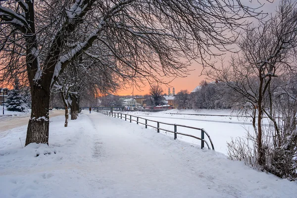 Bir kış sabahı hoarfrost — Stok fotoğraf