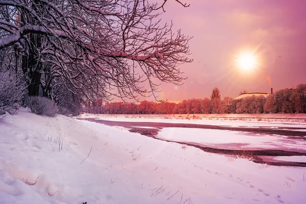 Rimfrosten på en vintermorgon — Stockfoto