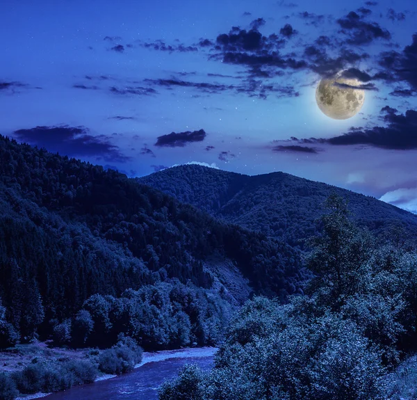 Mountain river near forest — Stock Photo, Image