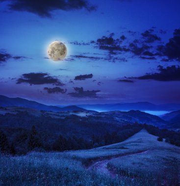 gece yarısı bir dağ yamacında iğne yapraklı orman