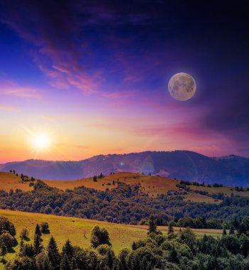 Orman sarp dağ yamacında