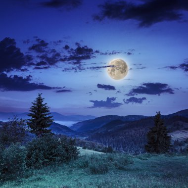Kırmızı ve sarı orman geceleri ile sonbahar hillside