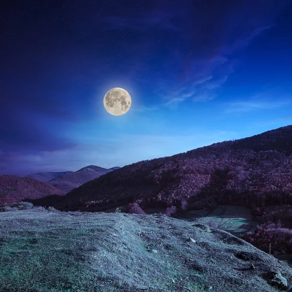 Herbsthang mit rotem und gelbem Wald bei Nacht — Stockfoto