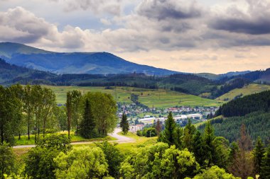 ışık demeti ile sonbahar dağ ormanda hillside düşüyor