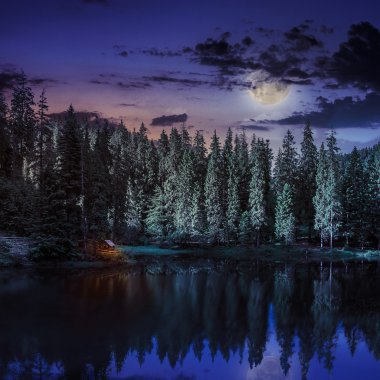 dağ gölü, gece iğne yapraklı orman