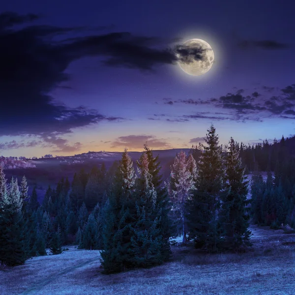 Collina autunnale con foresta rossa e gialla di notte — Foto Stock