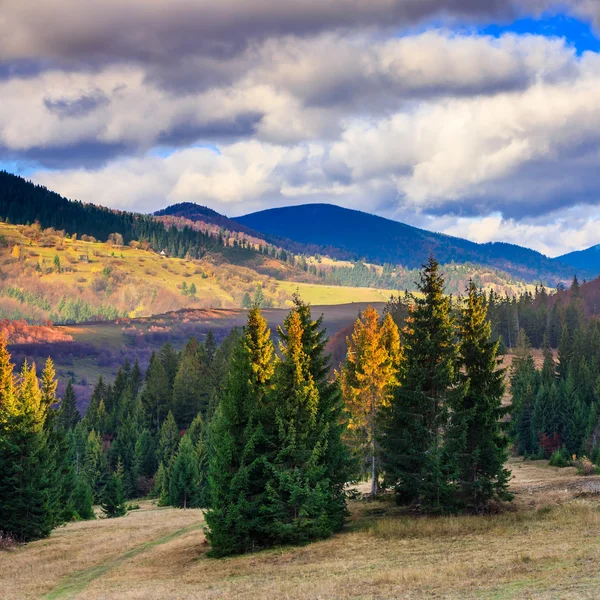 Herfst heuvel met rode en gele bos — Stockfoto