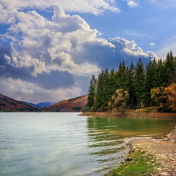 Autumn Mountain lake in coniferous forest — Stock Photo, Image