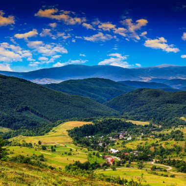 hillside dağda sonbahar orman ile Light düşüyor