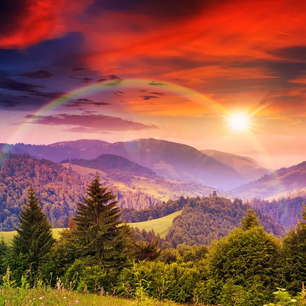 Rainbow in coniferous forest on a steep mountain slope at sunset — Stock Photo, Image