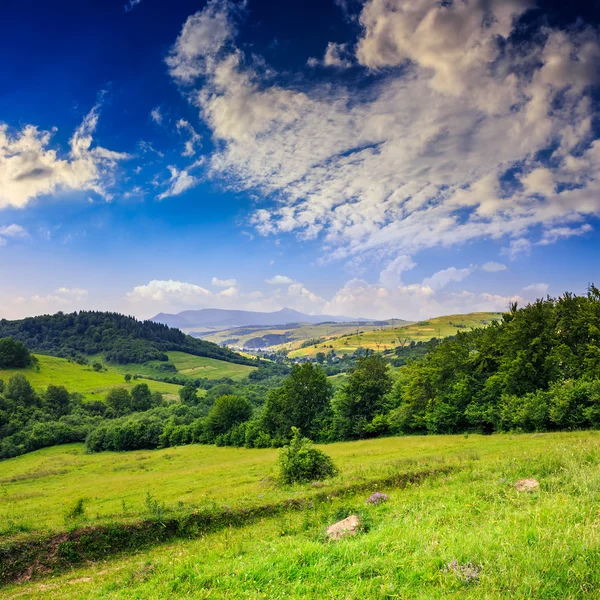 Village on hillside meadow with forest in mountain — Stock Photo, Image