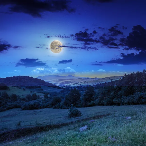 Village on hillside meadow with forest in mountain at night — Stock Photo, Image