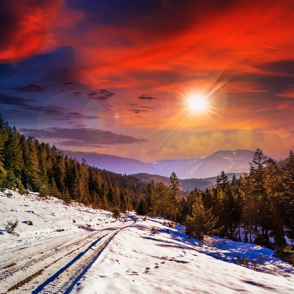 Snöig väg till barrskog i bergen vid solnedgången — Stockfoto