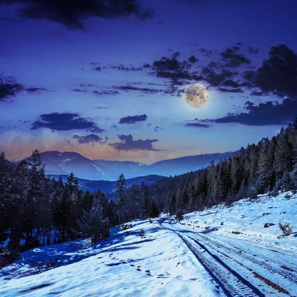 Snöig väg till barrskog i bergen på natten — Stockfoto