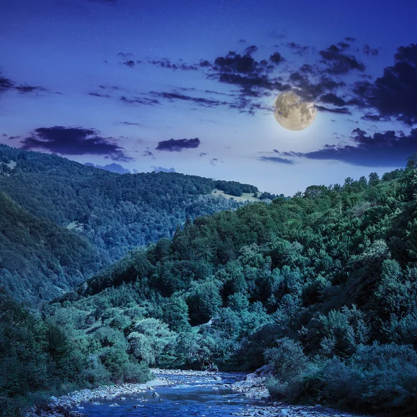 Wild mountain river on a clear summer night — Stok Foto