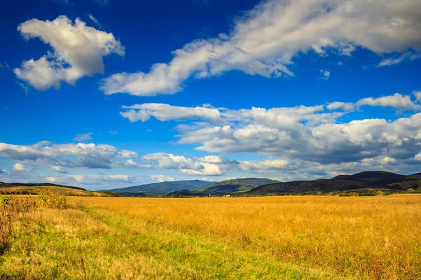 Campo de trigo cerca de la aldea de montaña —  Fotos de Stock