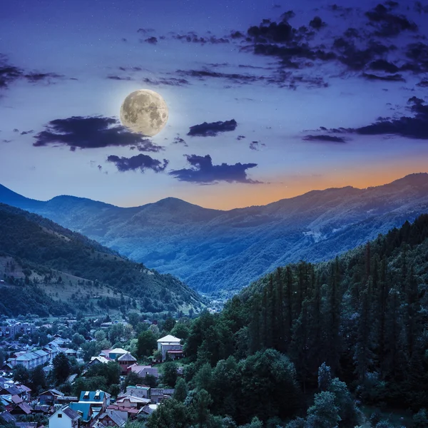 village on hillside meadow with forest in mountain at night