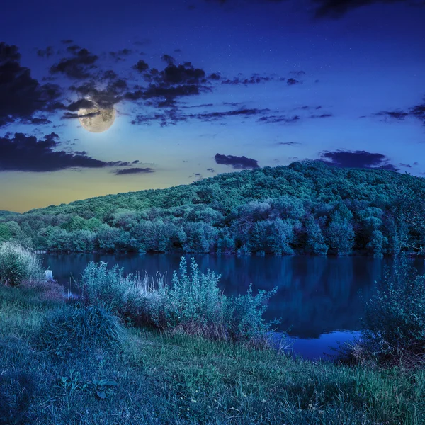 Tallskog och sjön nära berget på natten — Stockfoto