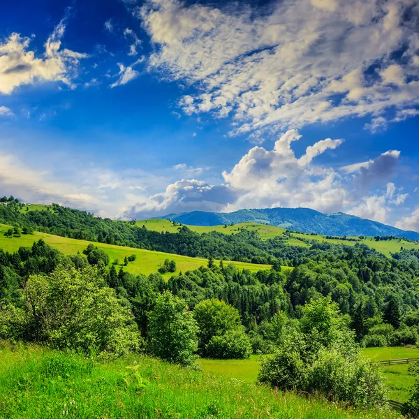 Pini vicino a valle in montagne sul fianco della collina sotto il cielo con — Foto Stock