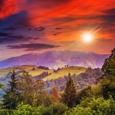 gün batımında sarp dağ yamacında iğne yapraklı orman