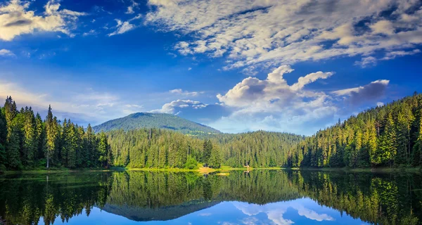 Bosque de pinos y lago cerca de la montaña temprano en la mañana —  Fotos de Stock