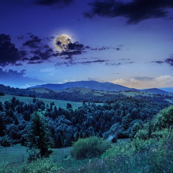 Alberi di pino vicino a valle in montagne su pendio di notte — Foto Stock