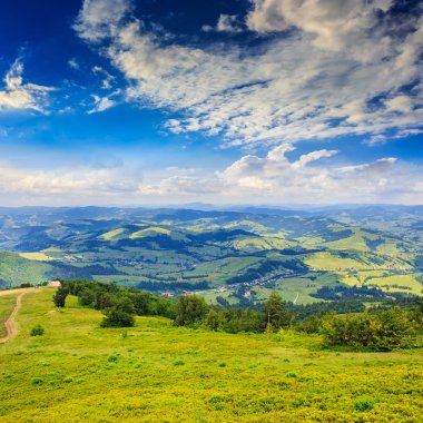 sarp dağ yamacında iğne yapraklı orman