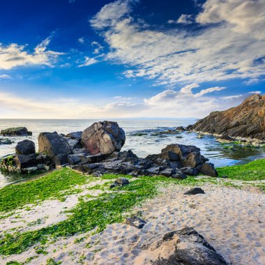 dalgalar deniz kumlu plajda breaking